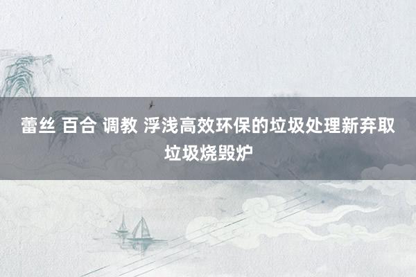 蕾丝 百合 调教 浮浅高效环保的垃圾处理新弃取垃圾烧毁炉