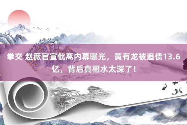 拳交 赵薇官宣仳离内幕曝光，黄有龙被追债13.6亿，背后真相水太深了！