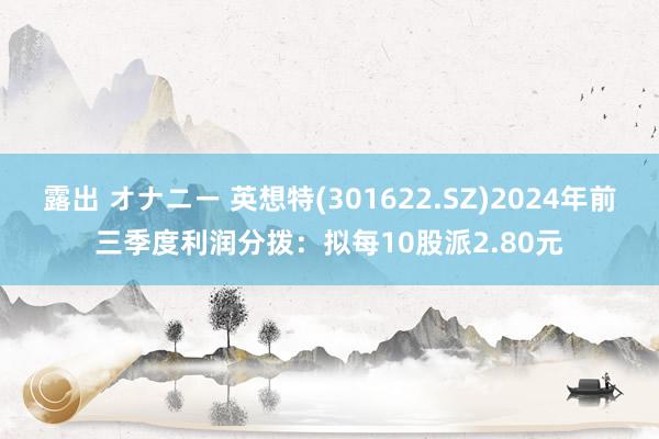 露出 オナニー 英想特(301622.SZ)2024年前三季度利润分拨：拟每10股派2.80元