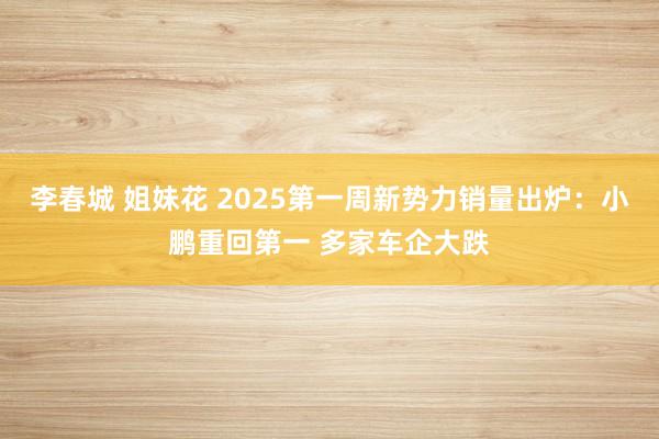 李春城 姐妹花 2025第一周新势力销量出炉：小鹏重回第一 多家车企大跌