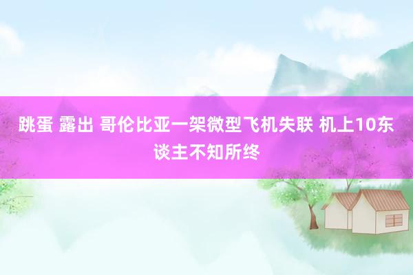 跳蛋 露出 哥伦比亚一架微型飞机失联 机上10东谈主不知所终