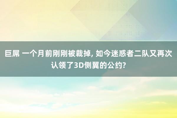 巨屌 一个月前刚刚被裁掉， 如今迷惑者二队又再次认领了3D侧翼的公约?