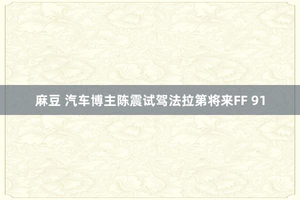 麻豆 汽车博主陈震试驾法拉第将来FF 91